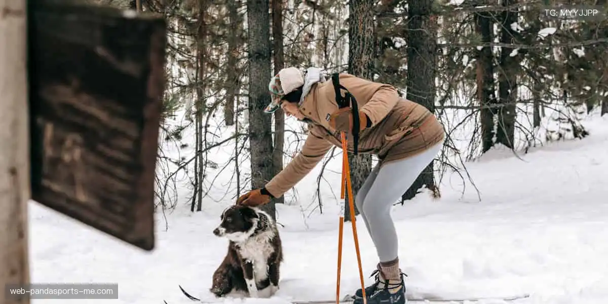 🎯专业装备,点燃你的运动激情!